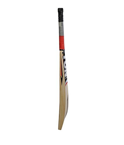 SS TON Maximus Cricketschläger für Herren und Jungen (Beige) | Material: Kashmir Willow | Leichtgewicht | Kostenlose Hülle | Spielfertig | Für fortgeschrittene Spieler | Ideal für Lederball