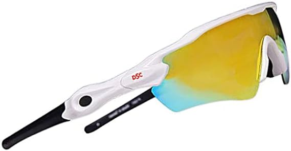 DSC Glider Polarized Cricket Sunglasses (Multicolor)