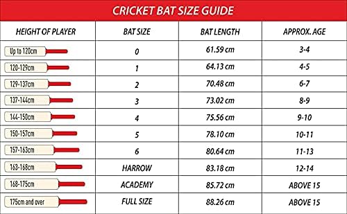 DSC Condor Atmos Cricket Bat für Herren und Jungen | Material: Englische Weide | Leichtgewicht | Stoßdämpfend | Spielfertig | Für Lederball geeignet
