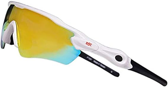 DSC Glider Polarized Cricket Sunglasses (Multicolor)