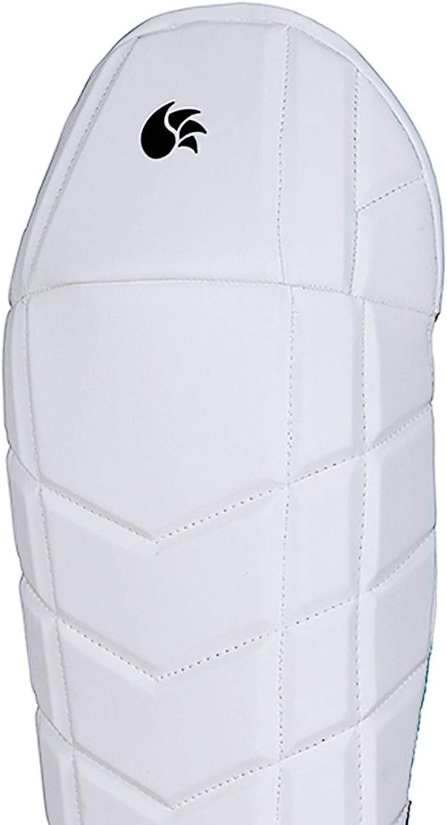 DSC Intense Speed Cricket Wicket Keeping Legguard | Farbe: Multicolor | Material: PU, Schaumstoff | Schwierigkeitsgrad: Profis | Atmungsaktiv | Mesh Instep | High-Density Foam | Leicht gepolstert