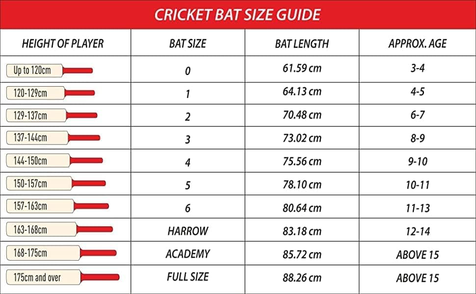 DSC Roar Terra Kashmir Willow Cricket Bat (Ball type : Leather Ball, Playing style : All-Round)