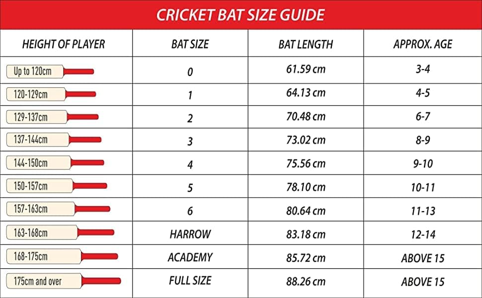 DSC Wildfire Torch Kashmir Willow Cricket Bat ( Größe: Kurzer Griff, Ball_ typ : Tennis Ball, Spielstil : All-Round ) (1500178)
