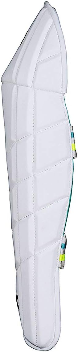 DSC Intense Speed Cricket Wicket Keeping Legguard | Farbe: Multicolor | Material: PU, Schaumstoff | Schwierigkeitsgrad: Profis | Atmungsaktiv | Mesh Instep | High-Density Foam | Leicht gepolstert