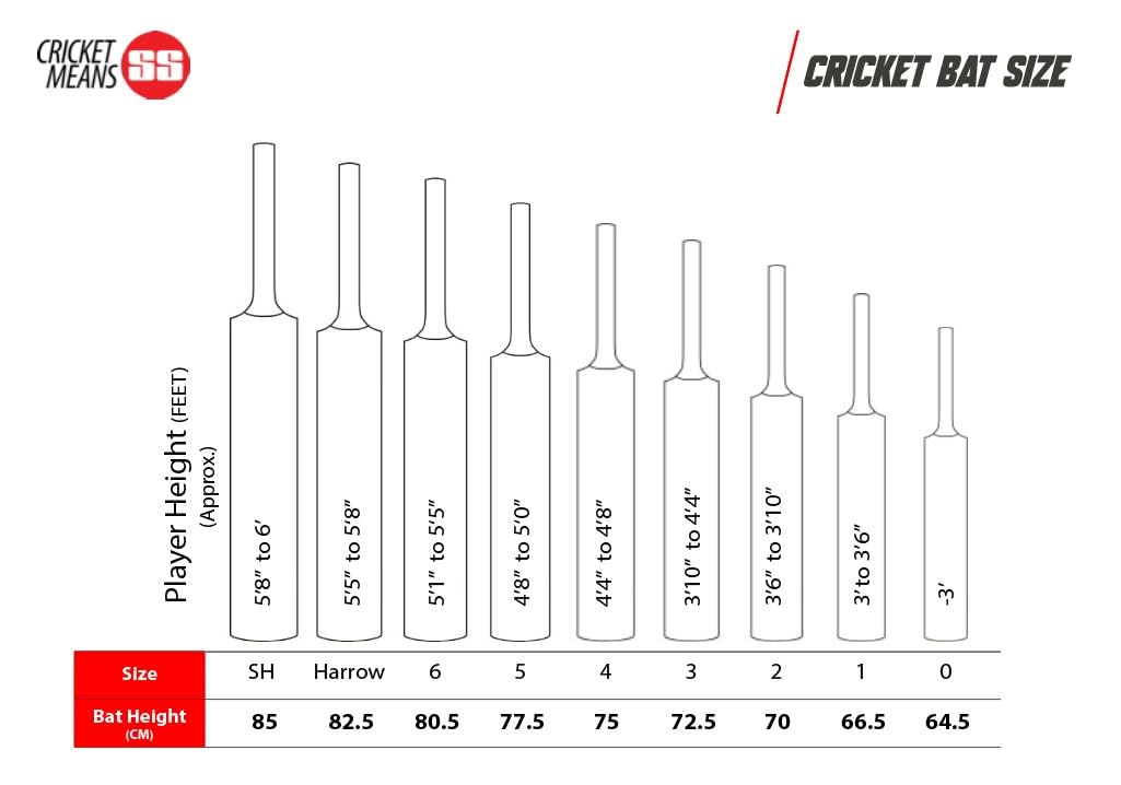 SS TON Maximus Cricketschläger für Herren und Jungen (Beige) | Material: Kashmir Willow | Leichtgewicht | Kostenlose Hülle | Spielfertig | Für fortgeschrittene Spieler | Ideal für Lederball