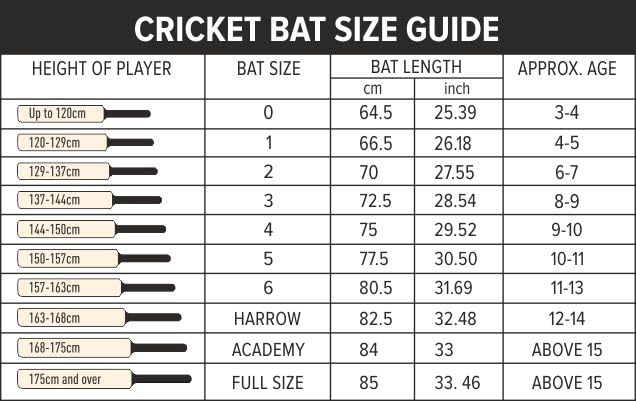 DSC Lava Cricketschläger für Herren und Jungen (Beige) | Material: Kashmir Willow | Leichtgewicht | Kostenloser Bezug | Spielfertig | Für fortgeschrittene Spieler | Ideal für Lederball