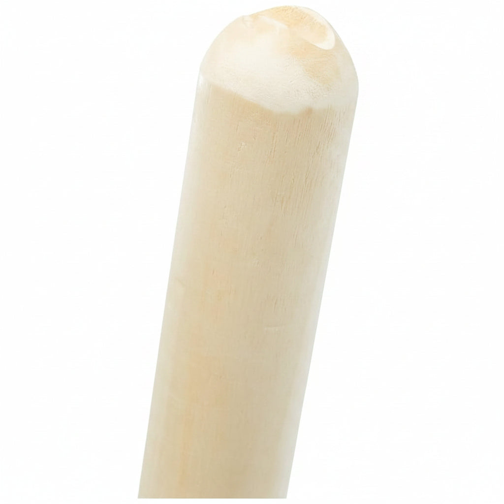 DSC Cricket Stumps