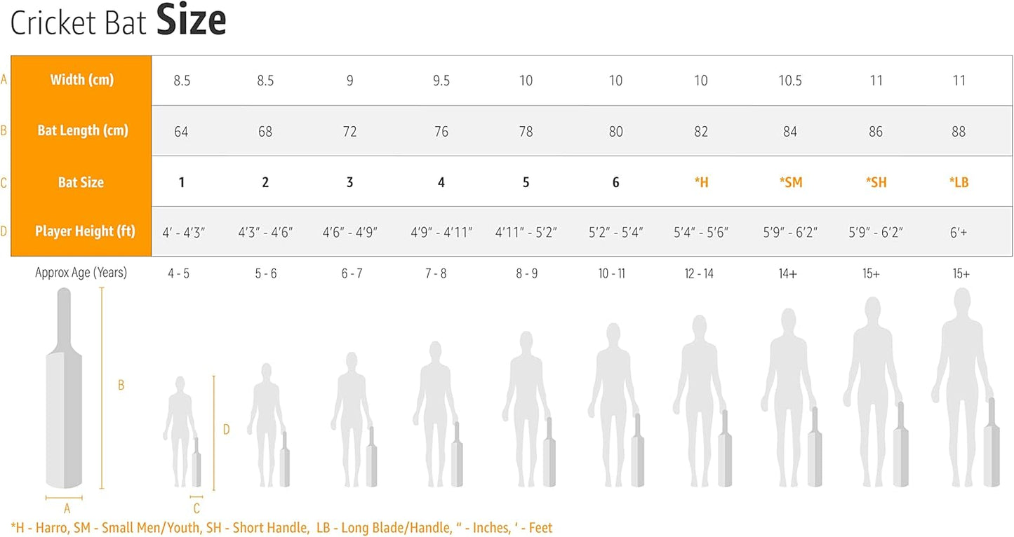 DSC Intense Force Kashmir Willow Cricketschläger, Größe-Short Handle, Multicolor