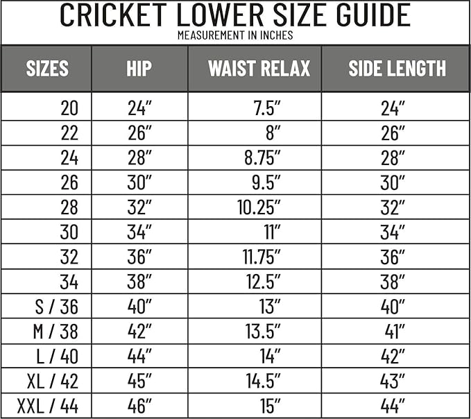 DSC 1500301 Passion Cricket Pant for Men | Polyester Pant | Cricket Kit | Suitable for batting, bowling, fielding and wicket keeping | White Pant | Size: M