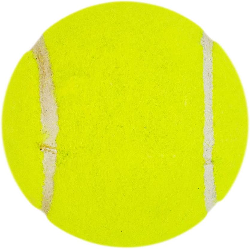 DSC Nitro Junior Senior Light Tennis Cricket Ball (Grün, 6er Pack) | Leder | Geeignet für Trainingsspiel | Training | Hartplatz | Rasen