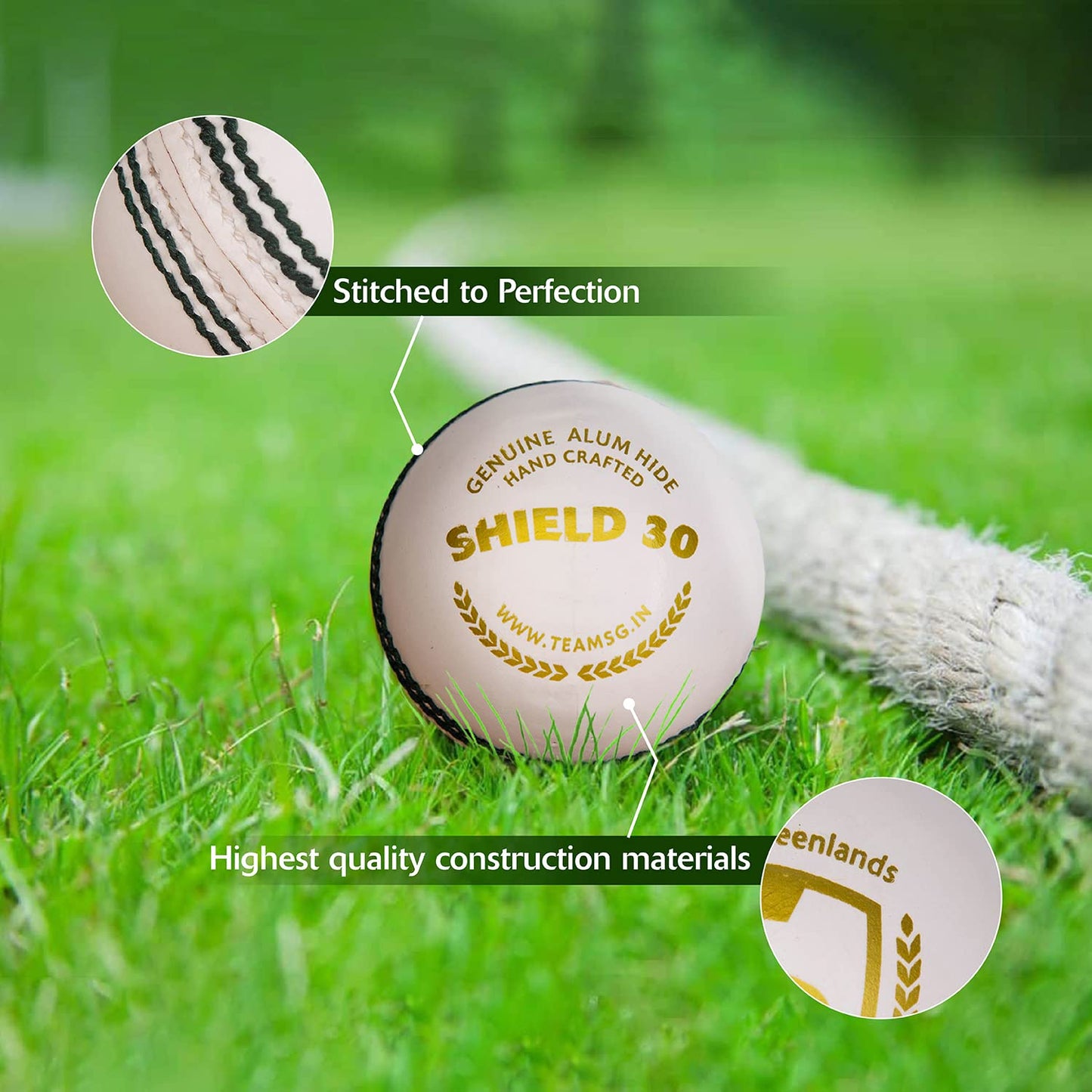 SG Cricket Balls SG SHIELD 30 White - 1 Pack