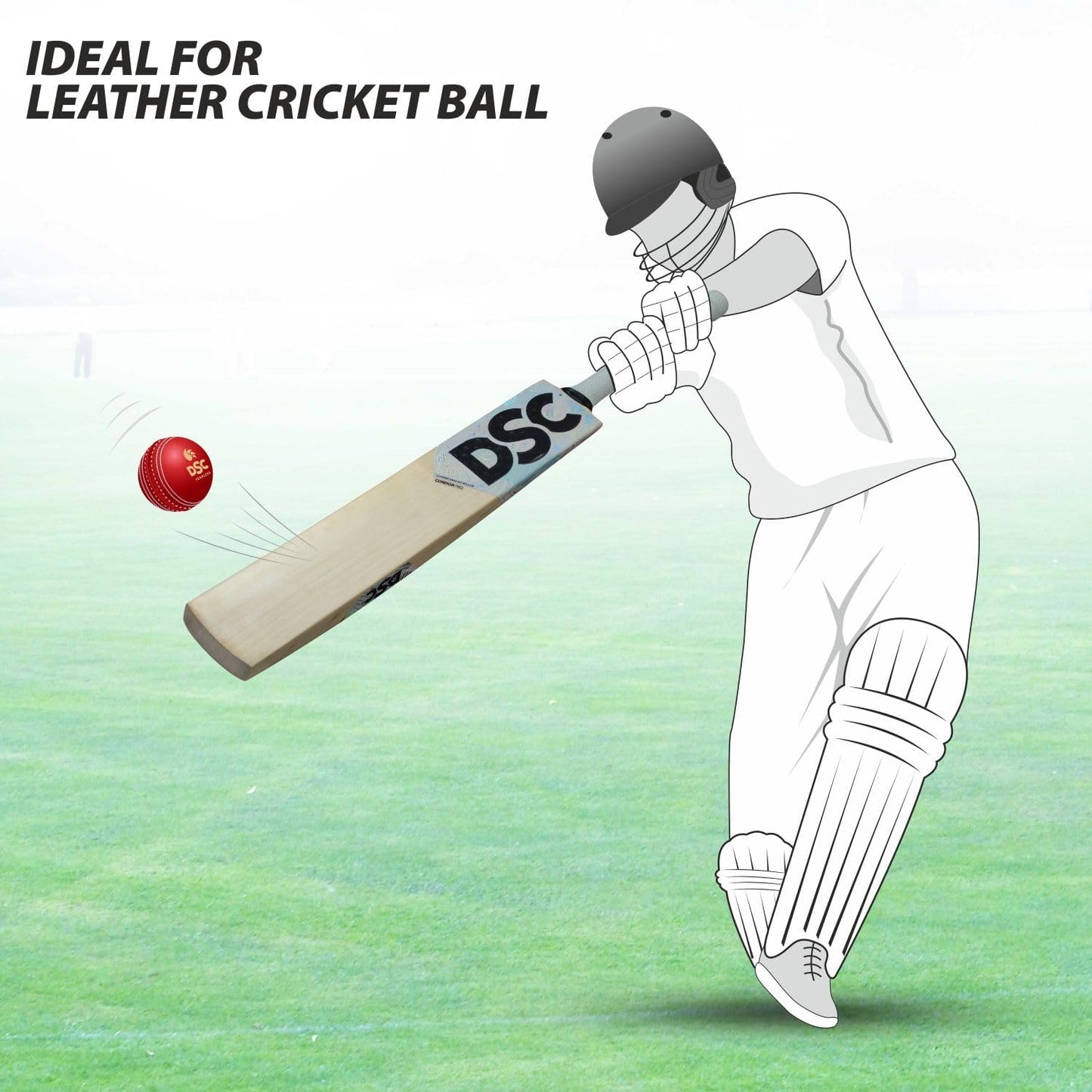 DSC Condor Atmos Cricket Bat für Herren und Jungen | Material: Englische Weide | Leichtgewicht | Stoßdämpfend | Spielfertig | Für Lederball geeignet
