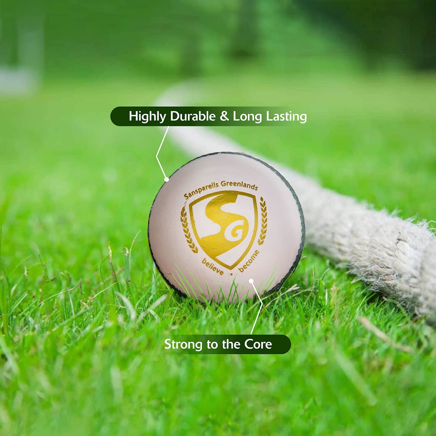 SG Cricket Balls SG SHIELD 30 White - 1 Pack