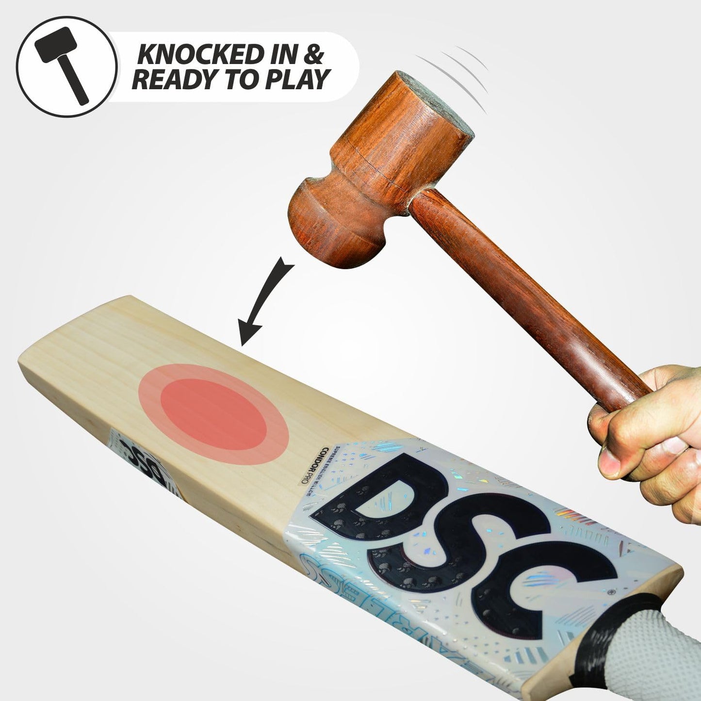 DSC Condor Atmos Cricket Bat für Herren und Jungen | Material: Englische Weide | Leichtgewicht | Stoßdämpfend | Spielfertig | Für Lederball geeignet