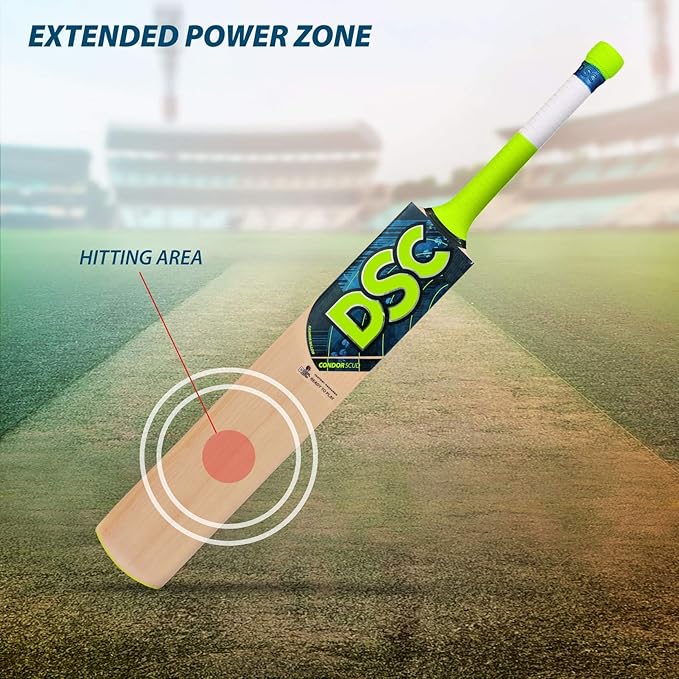 DSC Condor Scud Kashmir Willow Cricket Bat
