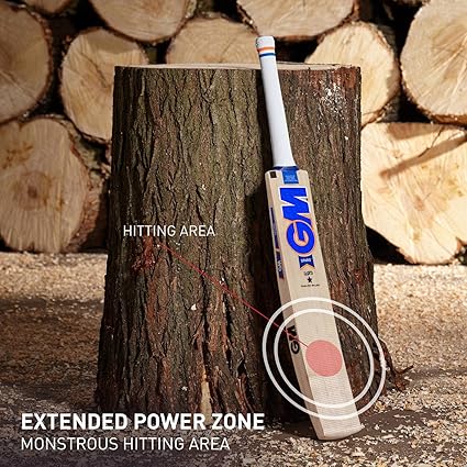 GM Sparq 303 Cricket Bat für Herren und Jungen (Beige, Größe – Harrow) | Material: Englische Weide | Spielfertig | Leichtgewicht | Ideal für Lederball | Für fortgeschrittene Spieler