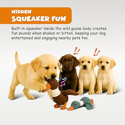FUNFY 3er Pack Crinkle Duck Toy für kleine, mittelgroße Rassen, Nicht für Aggressive Kauer, niedliche Plüsch-Enten mit weichem Quietscher, Spaß für Welpen im Haus | Spiel- und Kauspielzeug