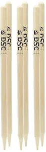 DSC Bleached And Polished Cricket Stumps Set with Bails