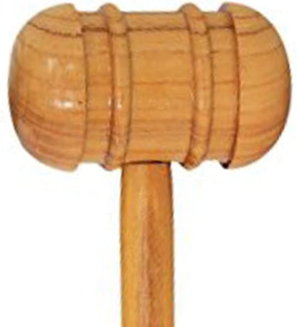 DSC SCHLÄGER HAMMER (MULBERY) CRICKET ZUBEHÖR-2024