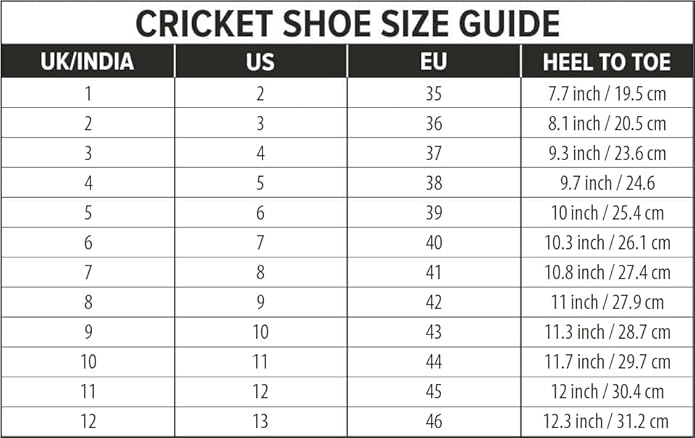 DSC Biffer 22 Cricket-Schuhe | Leichtes Obermaterial | Gummi-Außensohle | TPU-Schaft | Hochwertige EVA-Zwischensohle | Geringere Fußermüdung | Einzigartiger Look