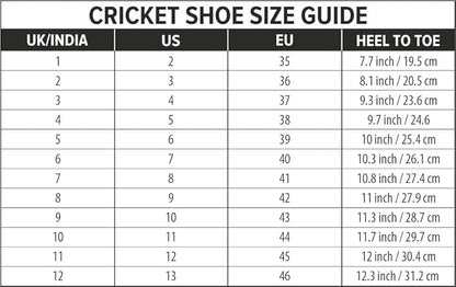 DSC Biffer 22 Cricket-Schuhe | Leichtes Obermaterial | Gummi-Außensohle | TPU-Schaft | Hochwertige EVA-Zwischensohle | Geringere Fußermüdung | Einzigartiger Look