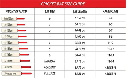 DSC Roar Terra Kashmir Willow Cricket Bat (Ball type : Leather Ball, Playing style : All-Round)