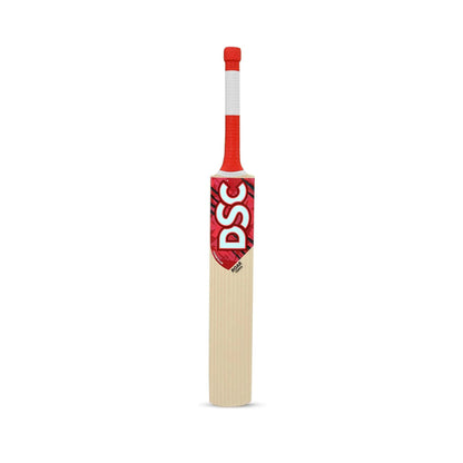 DSC Roar Terra Kashmir Willow Cricket Bat | Farbe: Multicolor | Größe: 1 | Für Herren | Material: Weidenholz | Hergestellt aus leichtem Kashmir Willow | Leichtgewichtige Bats und Crossweave Band auf dem Gesicht