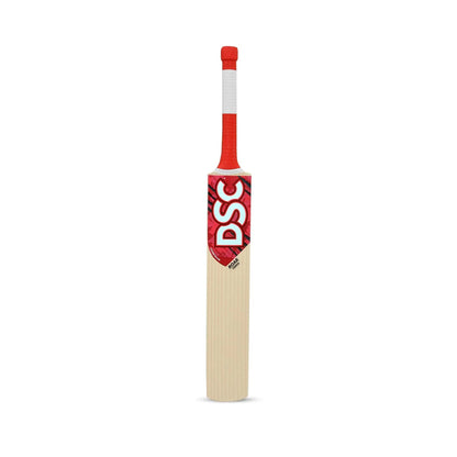 DSC Roar Terra Kashmir Willow Cricket Bat | Farbe: Multicolor | Größe: 1 | Für Herren | Material: Weidenholz | Hergestellt aus leichtem Kashmir Willow | Leichtgewichtige Bats und Crossweave Band auf dem Gesicht