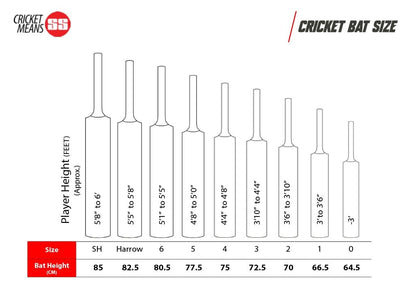 SS TON Maximus Cricketschläger für Herren und Jungen (Beige) | Material: Kashmir Willow | Leichtgewicht | Kostenlose Hülle | Spielfertig | Für fortgeschrittene Spieler | Ideal für Lederball