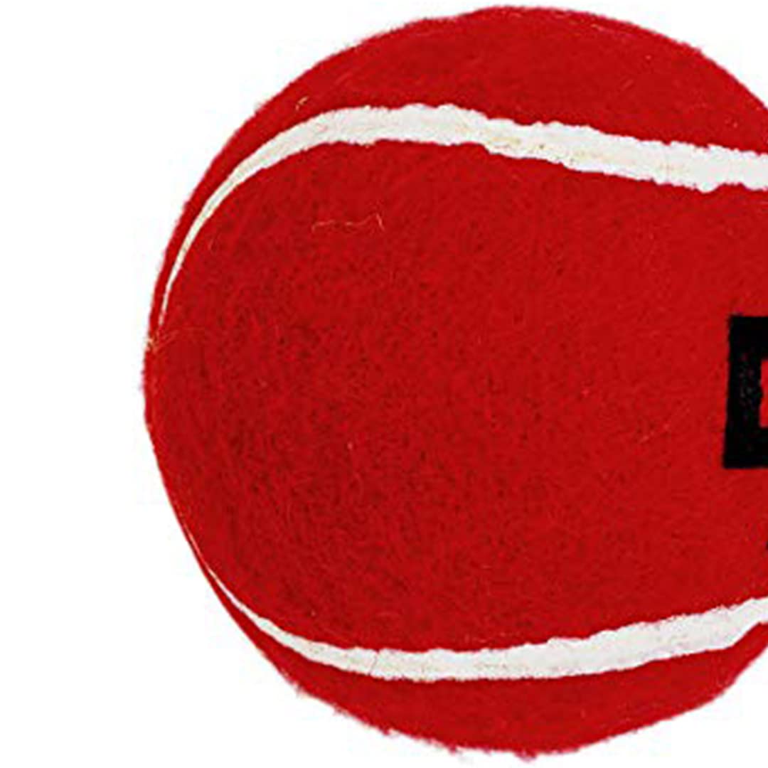 DSC Nitro Heavy Tennis Cricket Ball (12er Pack) | Leder | Geeignet für Übungsspiel | Training | Hartplatz | Rasen