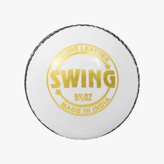 DSC 1500498 Swing Leder Cricket Ball | Größe: Einheitsgröße | Für Männer und Jungen | Wasserdicht | Gute Formbeständigkeit | Vierteilige Konstruktion | Ideal für Schul- und Vereinsspiele