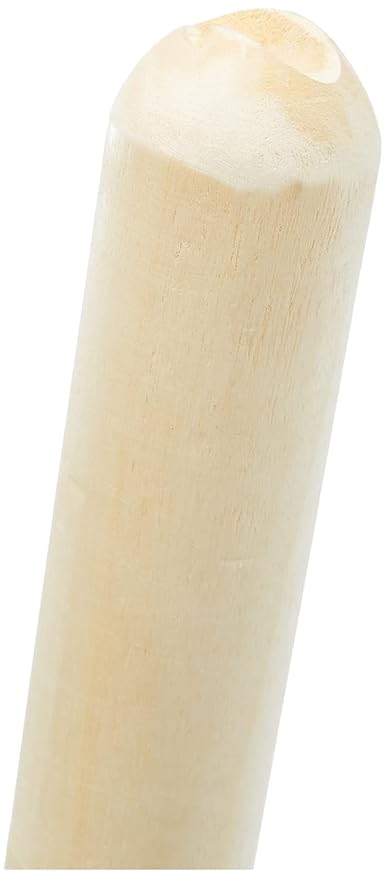 DSC Bleached And Polished Cricket Stumps Set with Bails