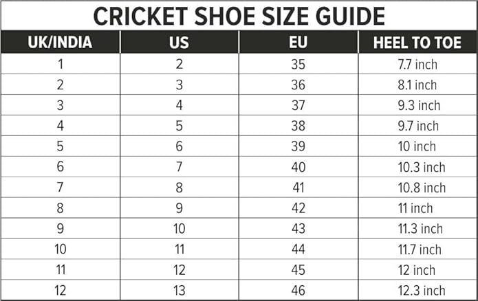 DSC Zooter Cricket Shoes | For Boys and Men | Polyvinyl Chloride