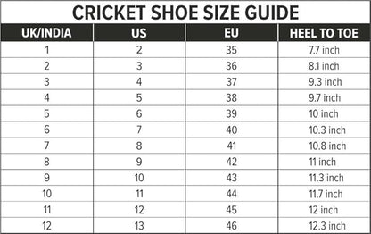 DSC Zooter Cricket Shoes | For Boys and Men | Polyvinyl Chloride