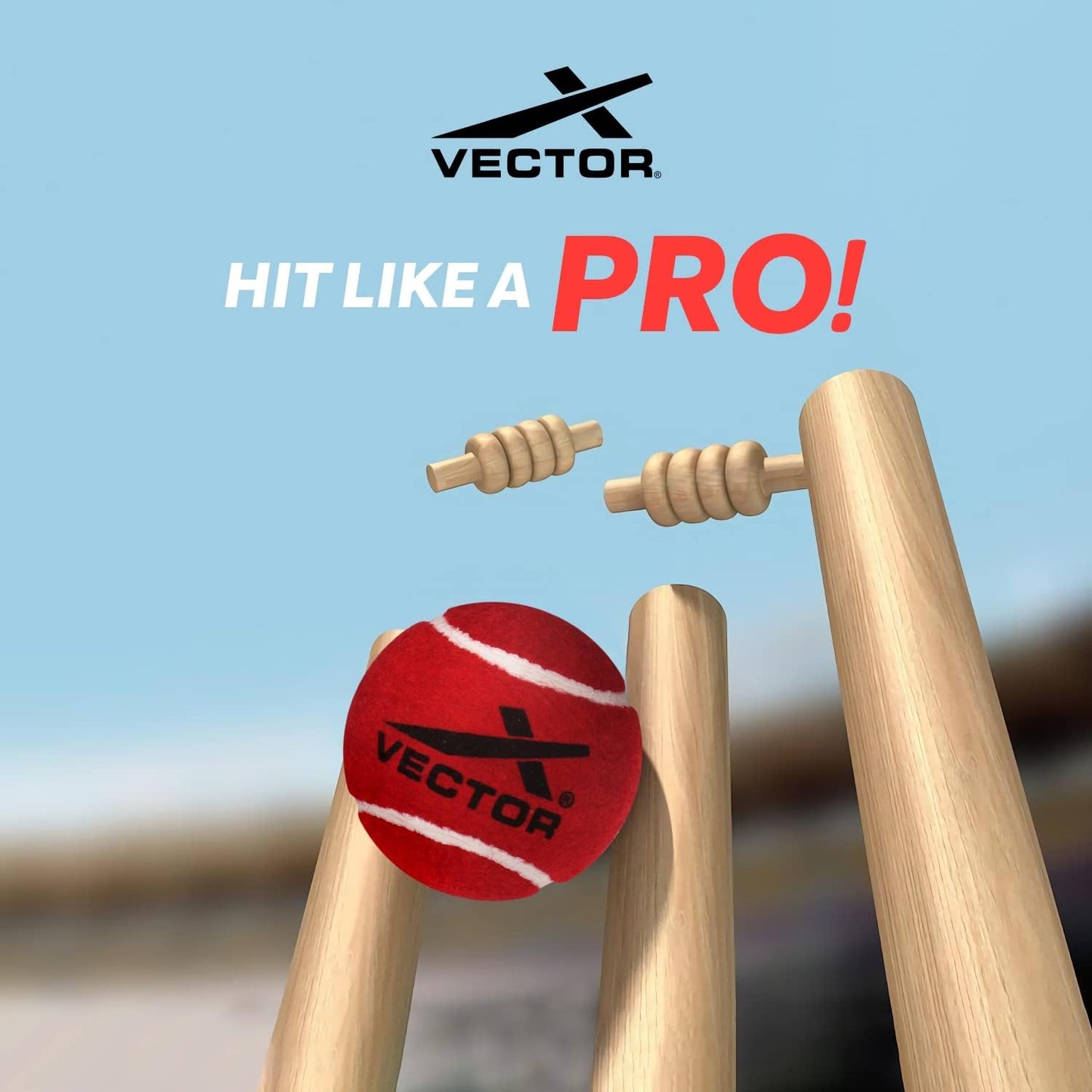 Vector X Schwerer Cricket-Tennisball (6 Stück ) – Obermaterial: Gummi, Standardgröße