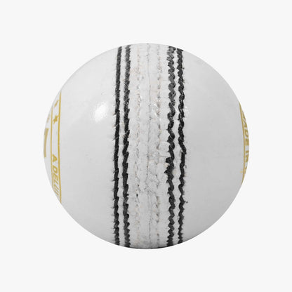 DSC 1500498 Swing Leather Cricket Ball | Size: One size | For men and boys | Waterproof | Good shape retention | Four-piece construction | Ideal for school and club games