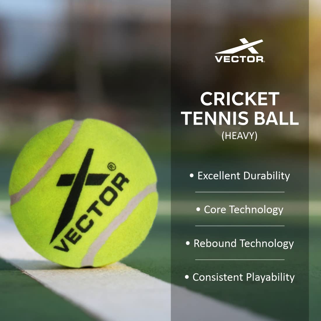 Vector X Schwerer Cricket-Tennisball (6 Stück ) – Obermaterial: Gummi, Standardgröße