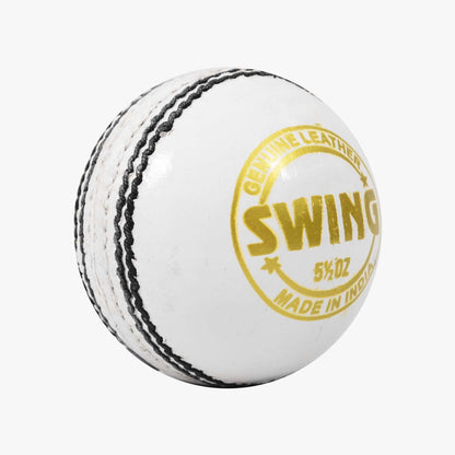 DSC 1500498 Swing Leather Cricket Ball | Size: One size | For men and boys | Waterproof | Good shape retention | Four-piece construction | Ideal for school and club games