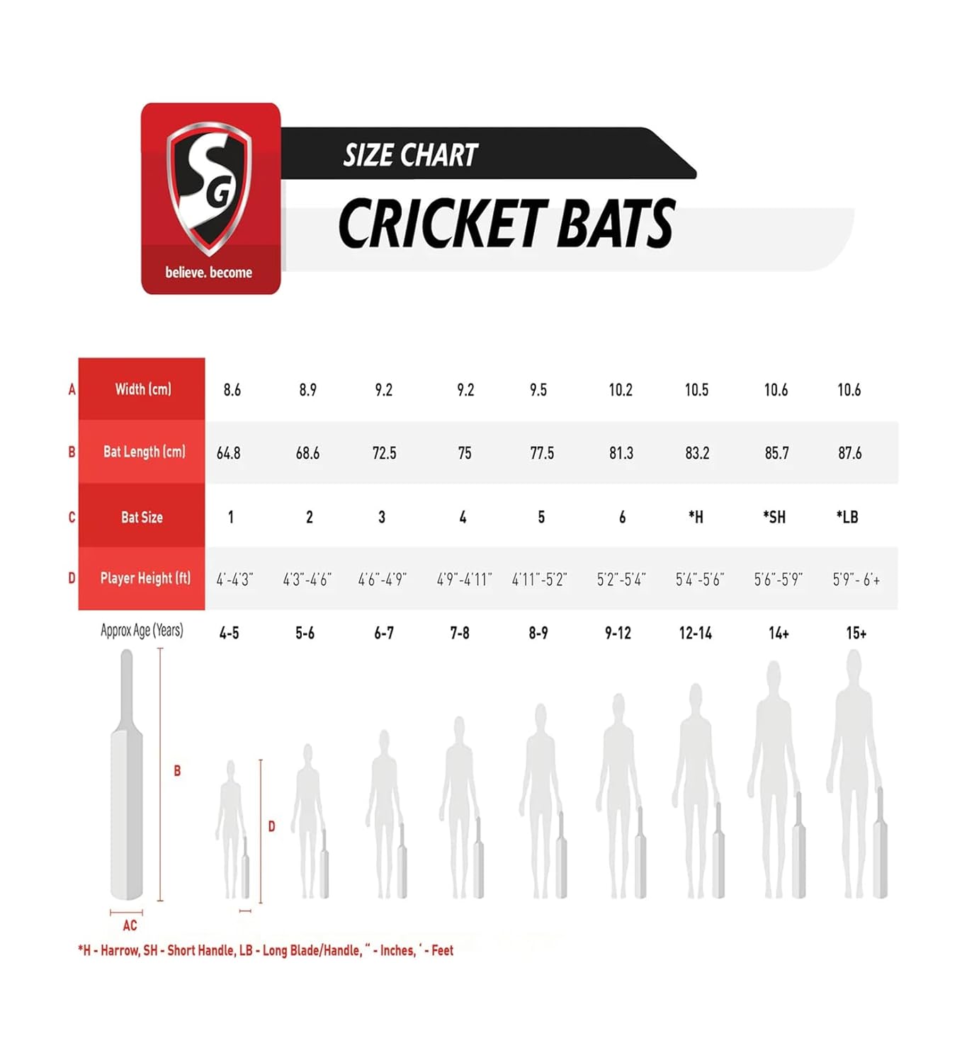 SG LIAM ARMOR cricket bat No. 6