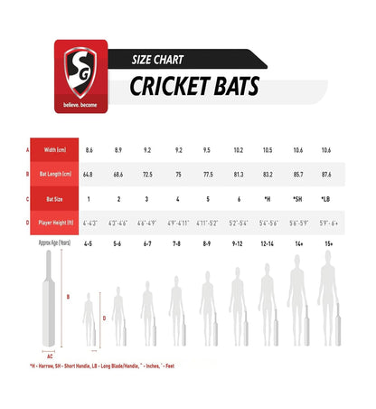 SG LIAM ARMOR cricket bat No. 6