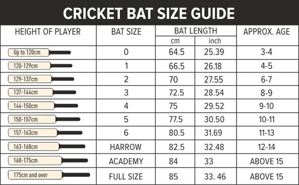 DSC Intense Zeal Cricket Bat für Herren und Jungen (Beige) | Material: Kashmir Willow | Leichtgewicht | Freier Bezug | Spielfertig | Für Fortgeschrittene Spieler | Ideal für Lederball