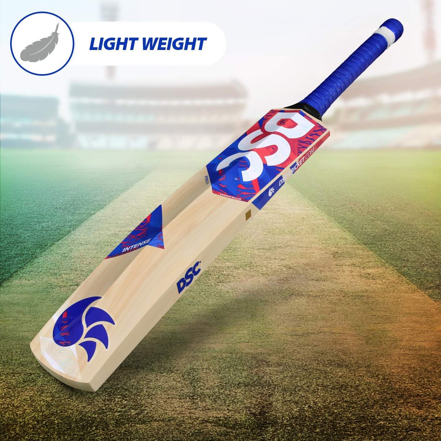 DSC Intense Zeal Cricket Bat für Herren und Jungen (Beige) | Material: Kashmir Willow | Leichtgewicht | Freier Bezug | Spielfertig | Für Fortgeschrittene Spieler | Ideal für Lederball