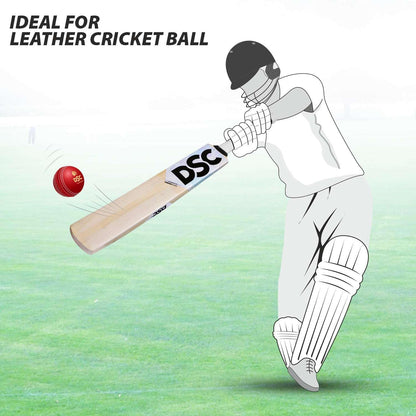 DSC Condor Flicker Kashmir Willow Cricket Bat | Farbe: Multicolor | Größe: 2 | Für Männer & Jungen | Material: Holz | Massive Ränder | Exquisite Balance