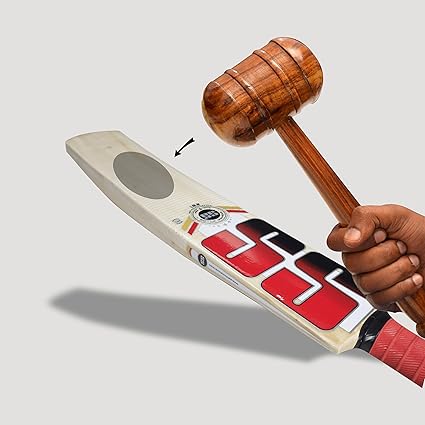 SS 281 Cricket Bat for Men and Boys (Beige, Size - 5) | Material: Kashmir Willow | Lightweight | Free Cover | Ready to Play | For Intermediate Players