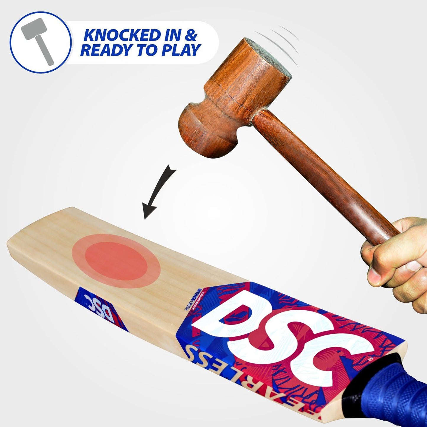 DSC Intense Zeal Cricket Bat für Herren und Jungen (Beige) | Material: Kashmir Willow | Leichtgewicht | Freier Bezug | Spielfertig | Für Fortgeschrittene Spieler | Ideal für Lederball