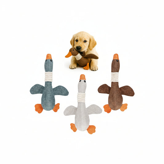 FUNFY 3er Pack Crinkle Duck Toy für kleine, mittelgroße Rassen, Nicht für Aggressive Kauer, niedliche Plüsch-Enten mit weichem Quietscher, Spaß für Welpen im Haus | Spiel- und Kauspielzeug