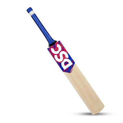 DSC Kashmir Willow Bat