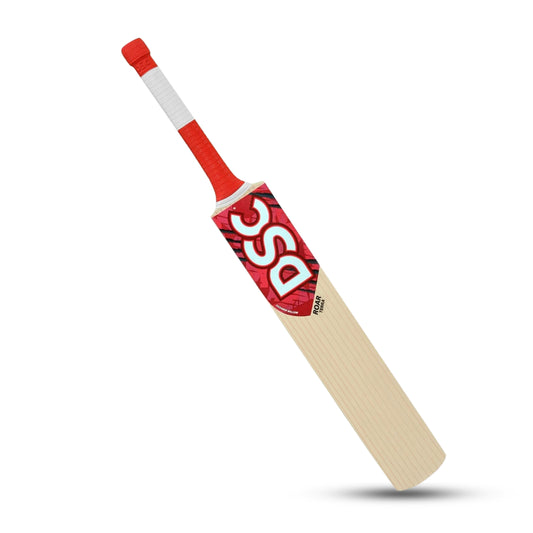 DSC Kashmir Willow Cricket Bat
