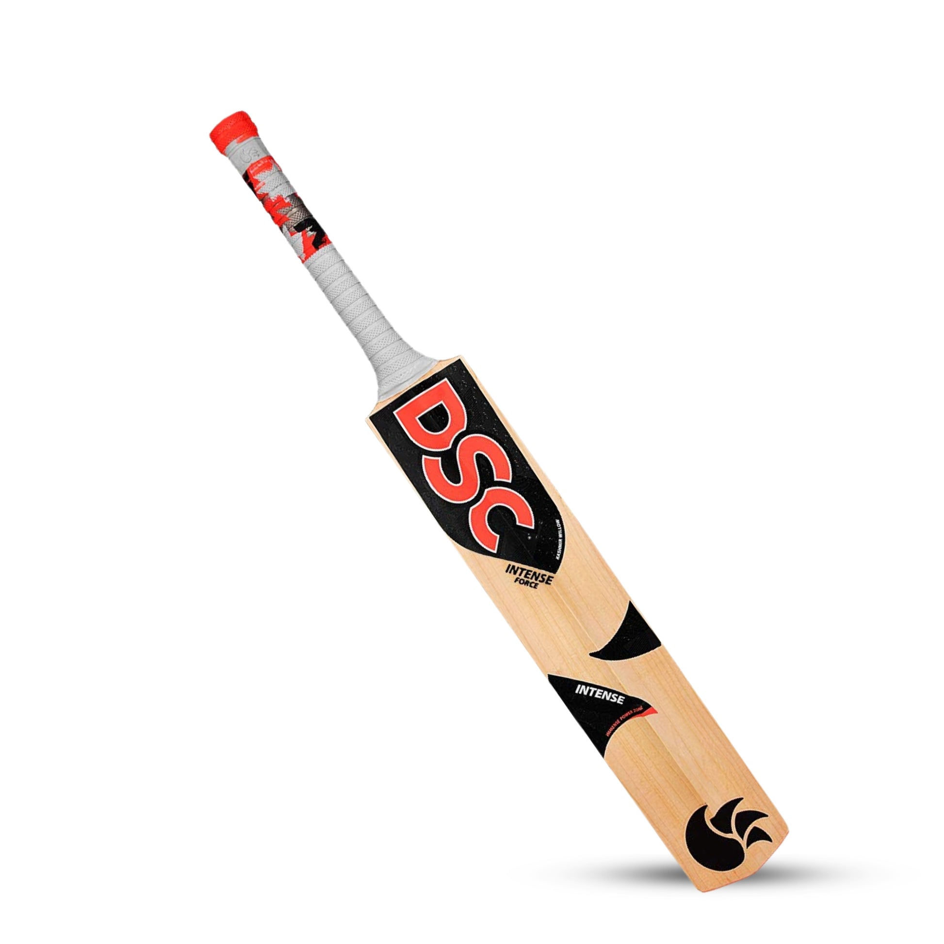 DSC Kashmir Willow Bat
