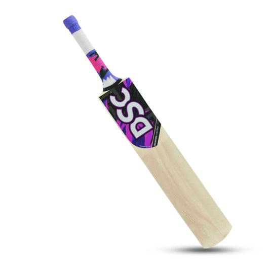 DSC Kashmir Willow Bat